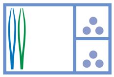 Mediset Kit de soin des plaies 131